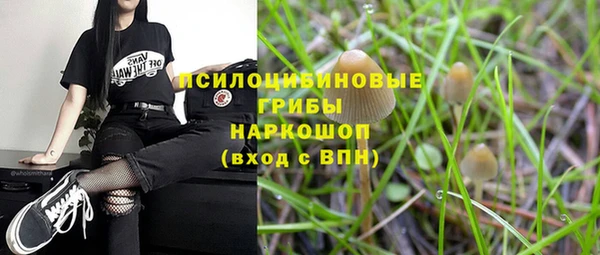 ALPHA-PVP Баксан