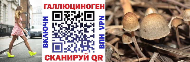 продажа наркотиков Верхнеуральск Галлюциногенные грибы ЛСД